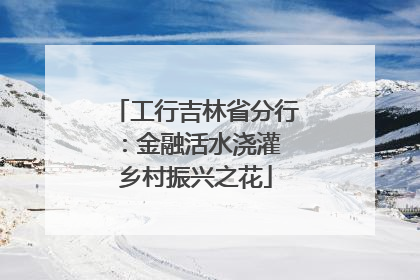 工行吉林省分行：金融活水浇灌 乡村振兴之花