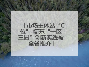 市场主体站“C位” 衡东“一区三园”创新实践被全省推介