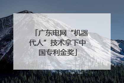广东电网“机器代人”技术拿下中国专利金奖