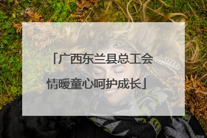 广西东兰县总工会情暖童心呵护成长
