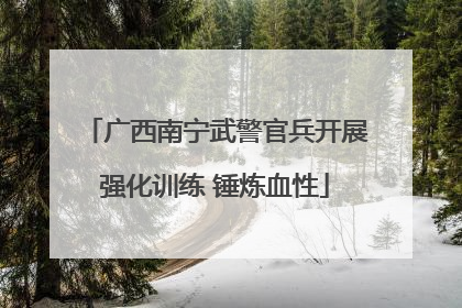 广西南宁武警官兵开展强化训练 锤炼血性