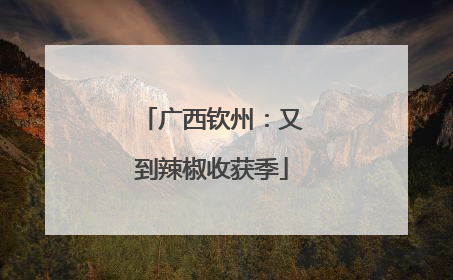广西钦州：又到辣椒收获季