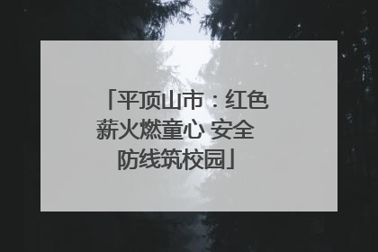 平顶山市：红色薪火燃童心 安全防线筑校园