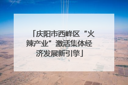 庆阳市西峰区“火辣产业”激活集体经济发展新引擎