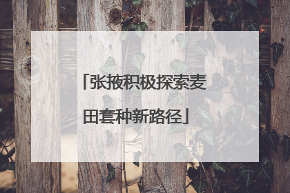 张掖积极探索麦田套种新路径
