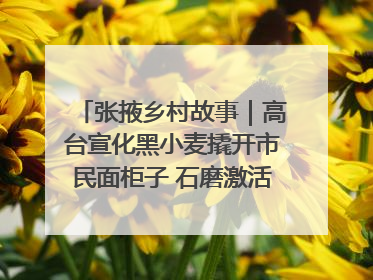 张掖乡村故事｜高台宣化黑小麦撬开市民面柜子 石磨激活村集体钱匣子