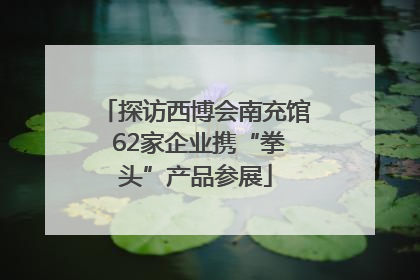 探访西博会南充馆 62家企业携“拳头”产品参展