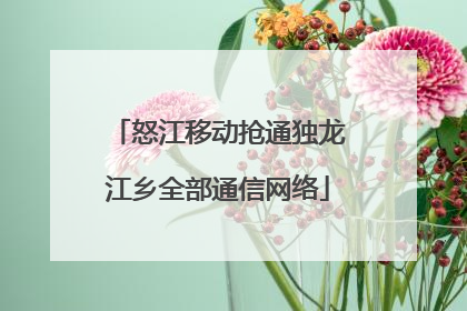 怒江移动抢通独龙江乡全部通信网络