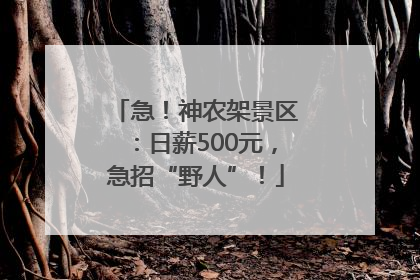 急！神农架景区：日薪500元，急招“野人”！