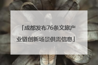 成都发布76条文旅产业链创新场景供需信息