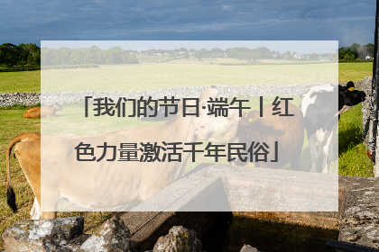 我们的节日·端午丨红色力量激活千年民俗