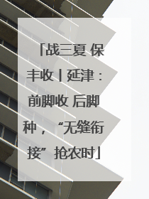 战三夏 保丰收丨延津：前脚收 后脚种，“无缝衔接”抢农时