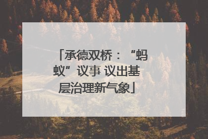 承德双桥：“蚂蚁”议事 议出基层治理新气象