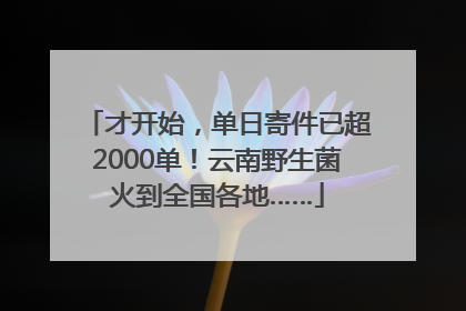 才开始，单日寄件已超2000单！云南野生菌火到全国各地……