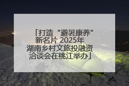 打造“避暑康养”新名片 2025年湖南乡村文旅投融资洽谈会在桃江举办
