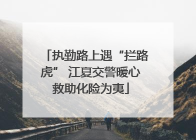 执勤路上遇“拦路虎” 江夏交警暖心救助化险为夷