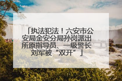 执法犯法！六安市公安局金安分局孙岗派出所原指导员、一级警长刘军被“双开”