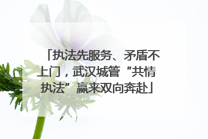 执法先服务、矛盾不上门，武汉城管“共情执法”赢来双向奔赴