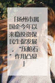 扬州市属国企今年以来稳投资保民生促发展，“压舱石”作用凸显