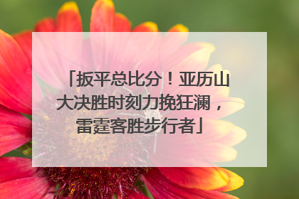 扳平总比分！亚历山大决胜时刻力挽狂澜，雷霆客胜步行者