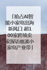 抢占AI智能小家电出海新风口 超100家跨境卖家探访慈溪小家电产业带