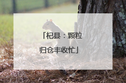 杞县：颗粒归仓丰收忙
