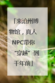 来沧州博物馆，真人NPC带你“穿越”到千年前