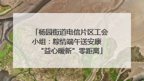 杨园街道电信片区工会小组：粽情端午送安康 “益心暖新”零距离