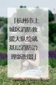 杭州市上城区消防救援大队绘就基层消防治理新图景
