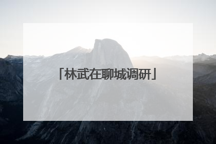 林武在聊城调研