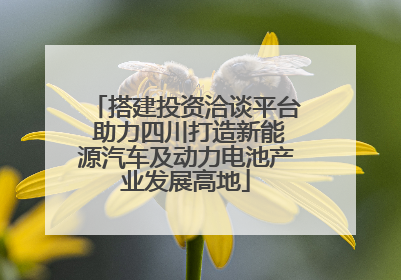 搭建投资洽谈平台 助力四川打造新能源汽车及动力电池产业发展高地