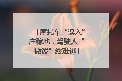 摩托车“误入”庄稼地，驾驶人“撒泼”终难逃