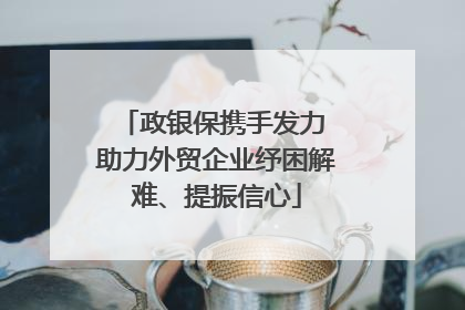 政银保携手发力 助力外贸企业纾困解难、提振信心