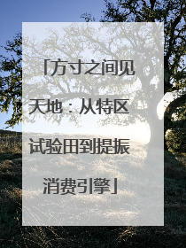 方寸之间见天地：从特区试验田到提振消费引擎