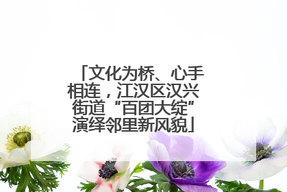 文化为桥、心手相连，江汉区汉兴街道“百团大绽”演绎邻里新风貌