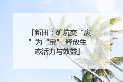 新田：矿坑变“废”为“宝” 释放生态活力与效益