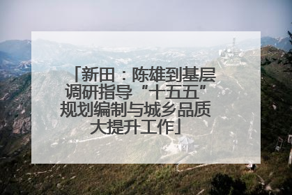 新田：陈雄到基层调研指导“十五五”规划编制与城乡品质大提升工作