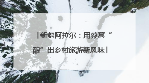 新疆阿拉尔：用桑葚“酿”出乡村旅游新风味