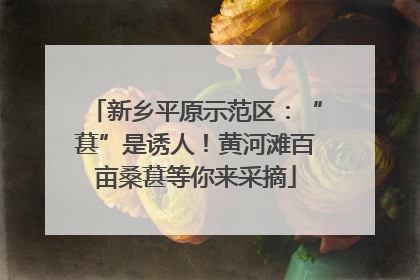 新乡平原示范区：“葚”是诱人！黄河滩百亩桑葚等你来采摘