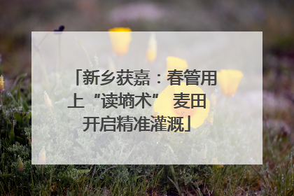 新乡获嘉：春管用上“读墒术” 麦田开启精准灌溉