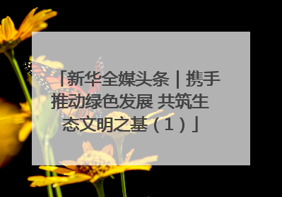 新华全媒头条｜携手推动绿色发展 共筑生态文明之基（1）