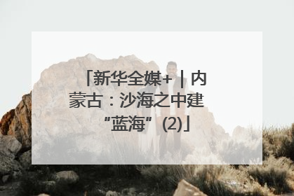 新华全媒+｜内蒙古：沙海之中建“蓝海”(2)