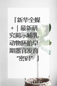 新华全媒+｜最新研究揭示哺乳动物胚胎早期器官发育“密码”