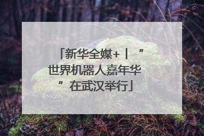 新华全媒+丨“世界机器人嘉年华”在武汉举行