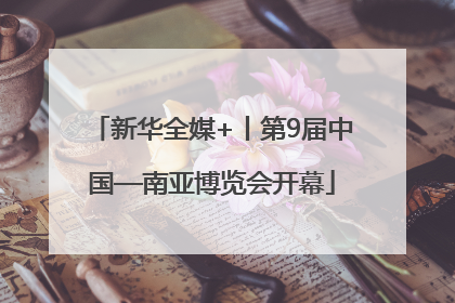 新华全媒+丨第9届中国—南亚博览会开幕