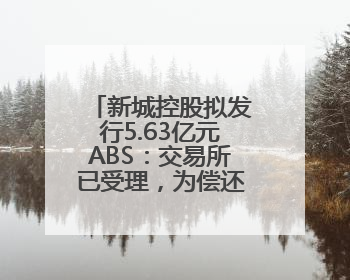 新城控股拟发行5.63亿元ABS：交易所已受理，为偿还美元债做准备