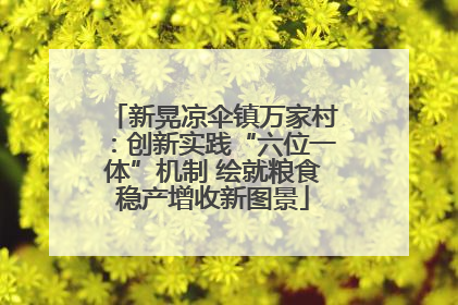 新晃凉伞镇万家村：创新实践“六位一体”机制 绘就粮食稳产增收新图景