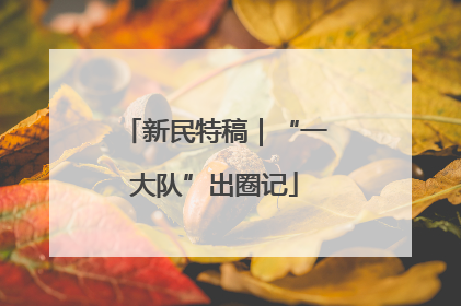 新民特稿｜“一大队”出圈记