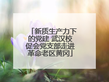 新质生产力下的党建 武汉校促会党支部走进革命老区黄冈
