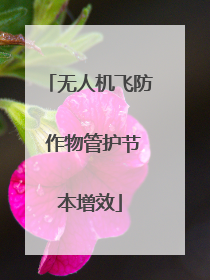 无人机飞防 作物管护节本增效